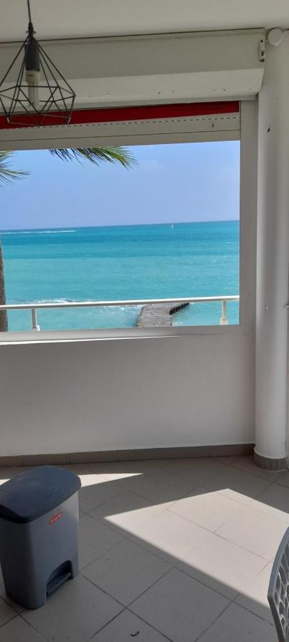 شقة Studio Pieds Dans L'Eau لو جوسيير المظهر الخارجي الصورة